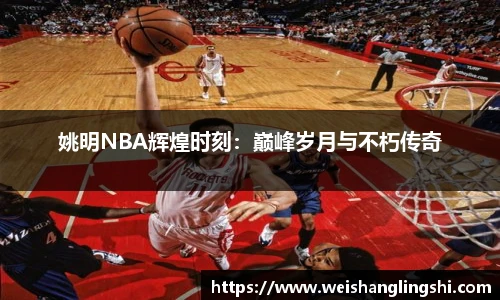 姚明NBA辉煌时刻：巅峰岁月与不朽传奇