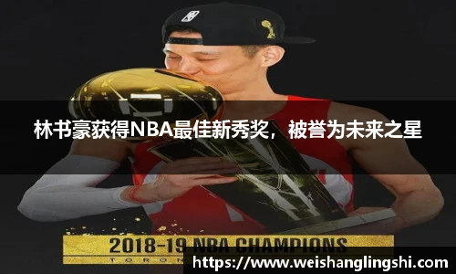 林书豪获得NBA最佳新秀奖，被誉为未来之星