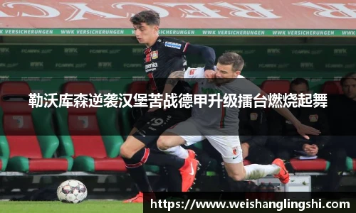 勒沃库森逆袭汉堡苦战德甲升级擂台燃烧起舞