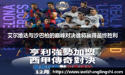 艾尔维达与沙巴柏的巅峰对决谁将赢得最终胜利